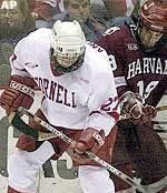 knoepfli battles harvard