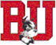 BU